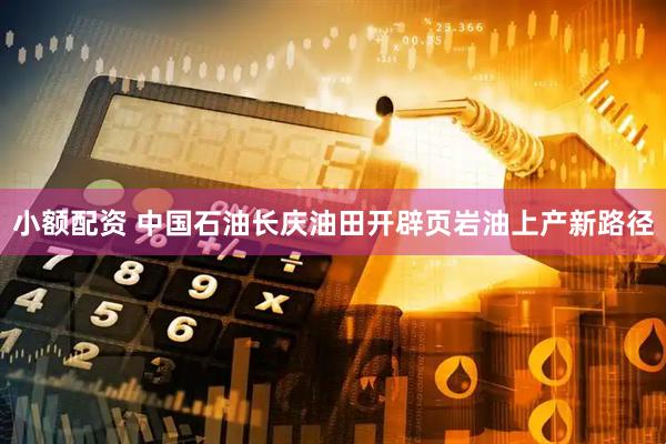 小额配资 中国石油长庆油田开辟页岩油上产新路径