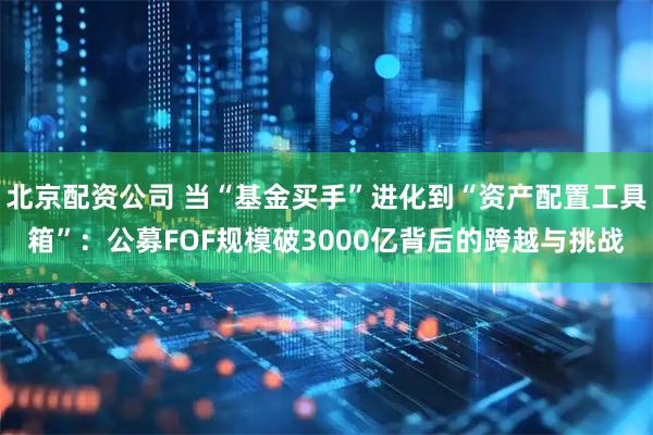 北京配资公司 当“基金买手”进化到“资产配置工具箱”：公募FOF规模破3000亿背后的跨越与挑战